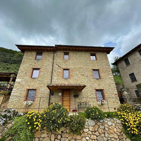 B&B Il Volo Camaiore Eksteriør billede