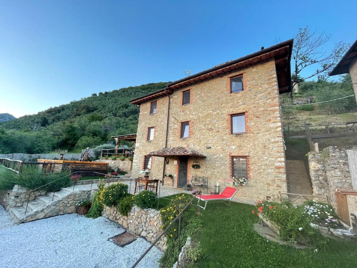 B&B Il Volo Camaiore Eksteriør billede
