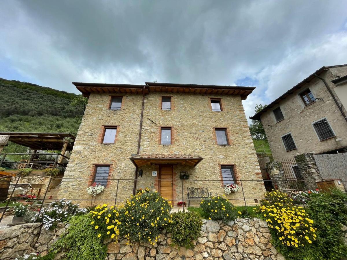 B&B Il Volo Camaiore Eksteriør billede