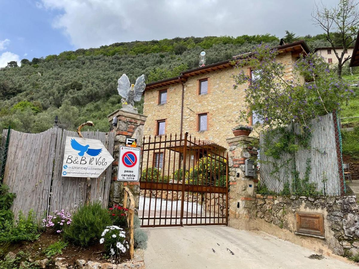 B&B Il Volo Camaiore Eksteriør billede