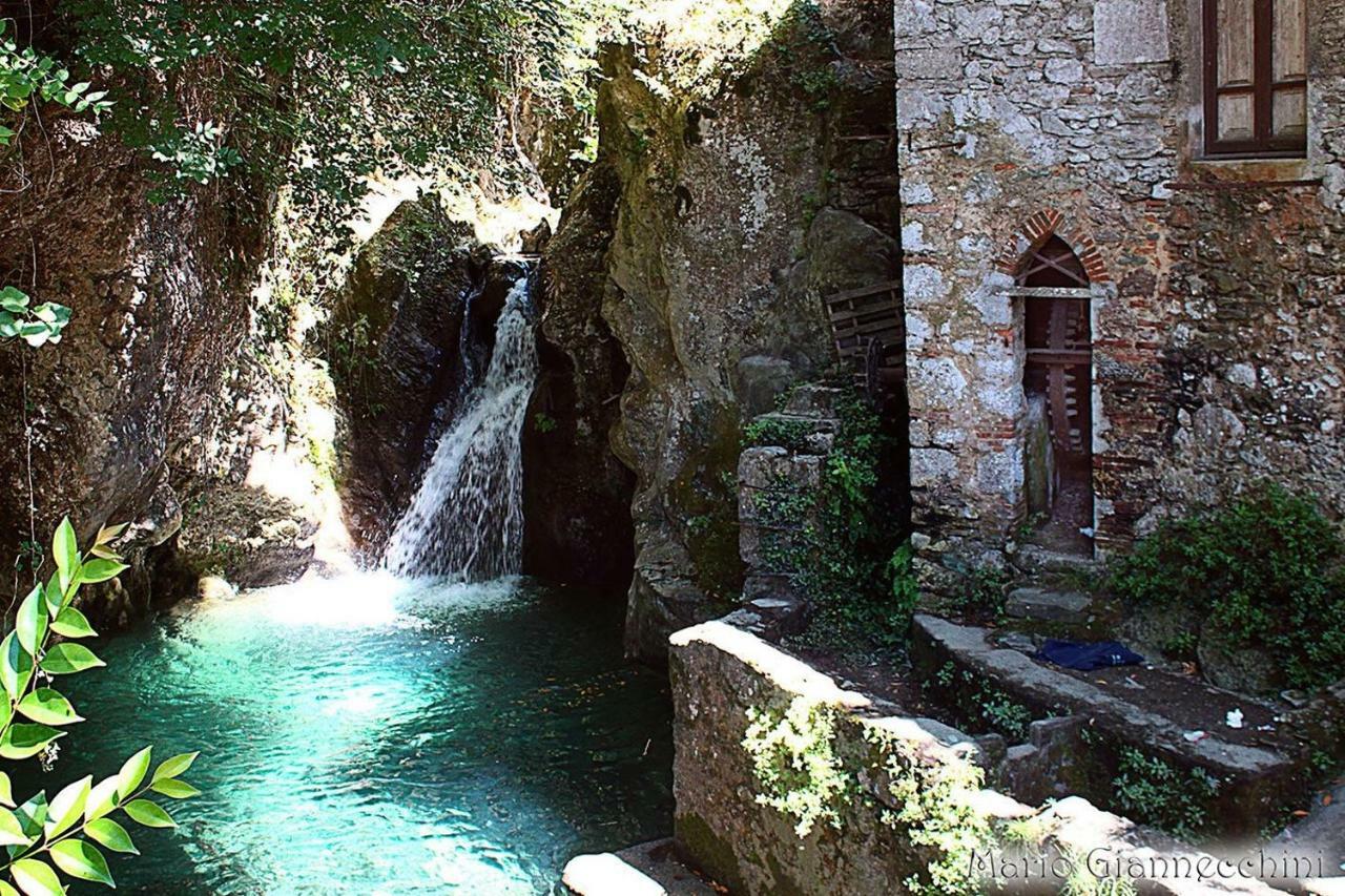 B&B Il Volo Camaiore Eksteriør billede