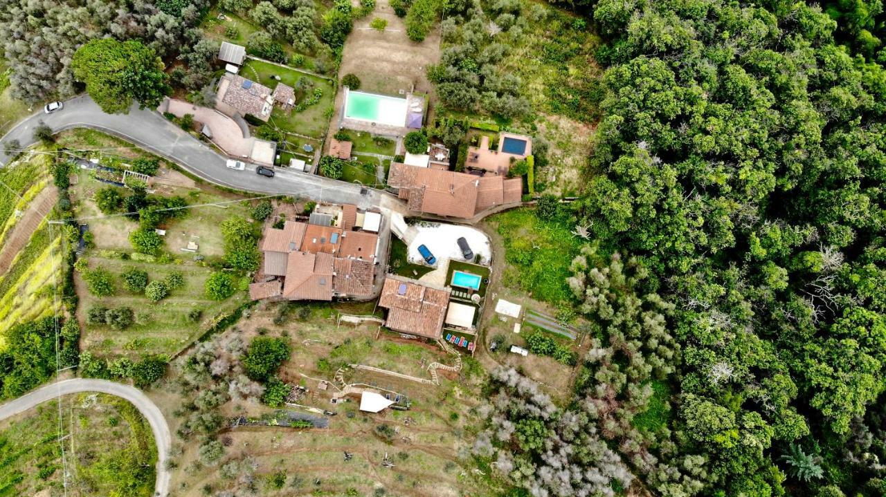 B&B Il Volo Camaiore Eksteriør billede